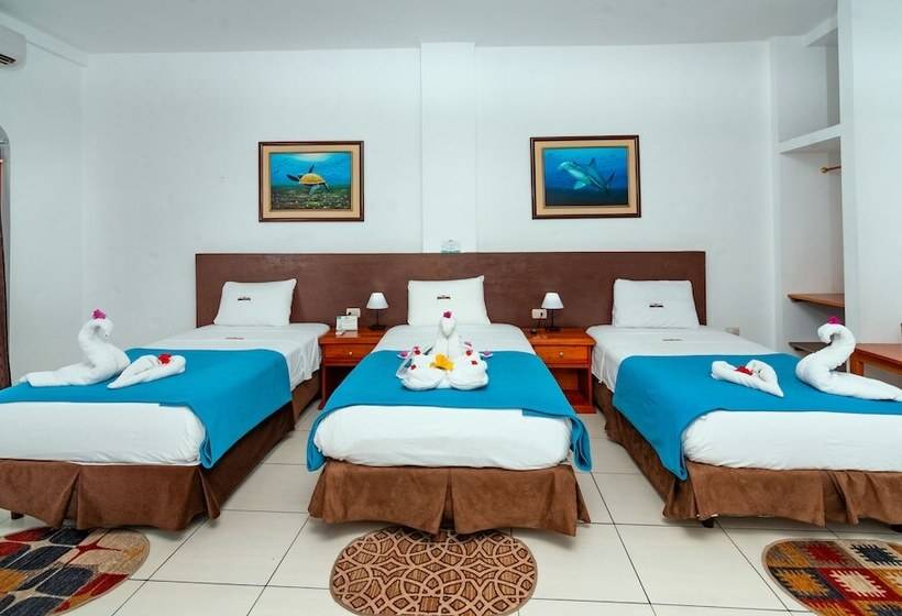 اتاق استاندارد سه نفره, Coloma Galapagos