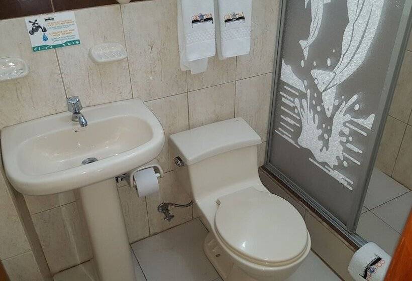 اتاق استاندارد, Coloma Galapagos