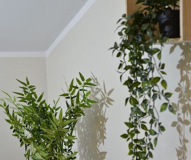 חדר סטנדרט חדר אמבטיה משותף, Klausturhof Guesthouse