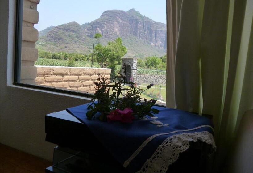 غرفة قياسية سرير كينج, Villa Los Agaves   Hospedería