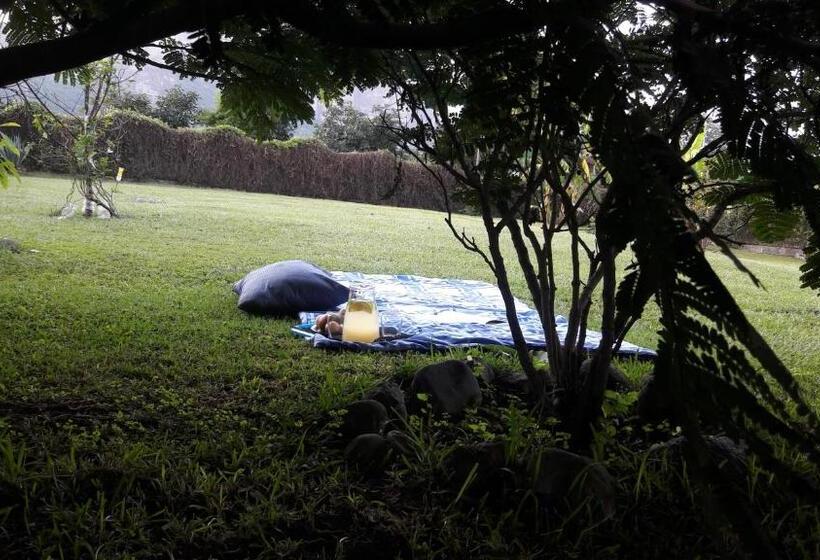 غرفة قياسية, Villa Los Agaves   Hospedería