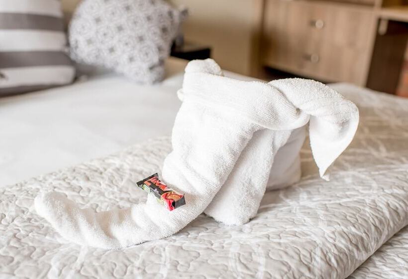 חדר סטנדרט, 61 On Ireland Guest House