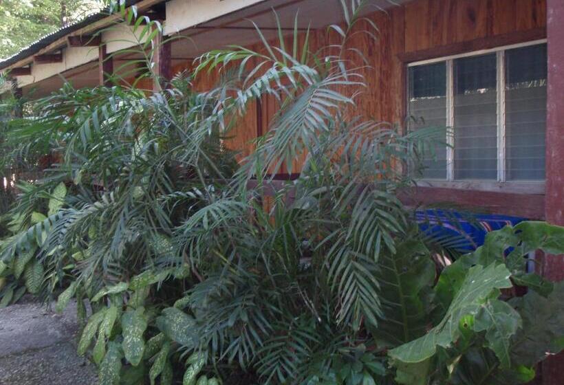 اتاق استاندارد سه نفره, Guest House Posada Ixchel