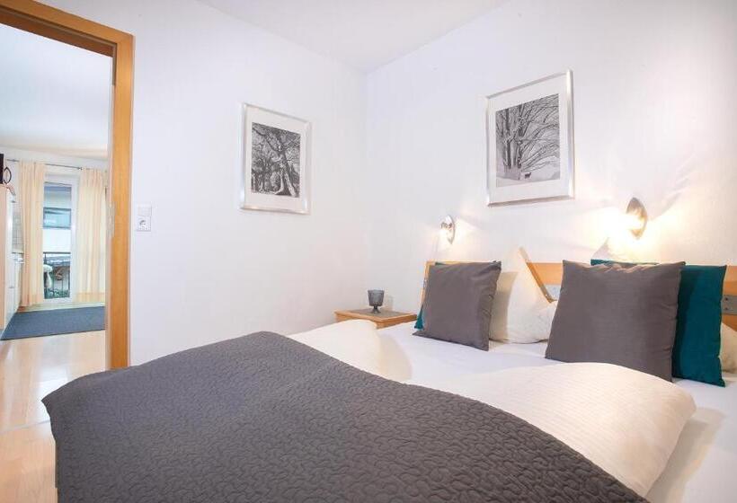 Апартаменты 1 Спальня с Террасой, Zillertal Appartements