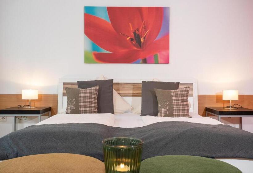 Студия Стандарт, Zillertal Appartements
