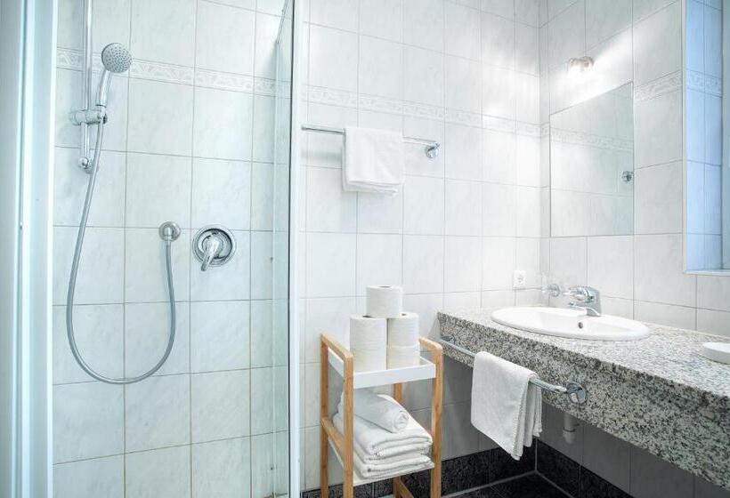 Апартаменты 1 Спальня с Балконом, Zillertal Appartements