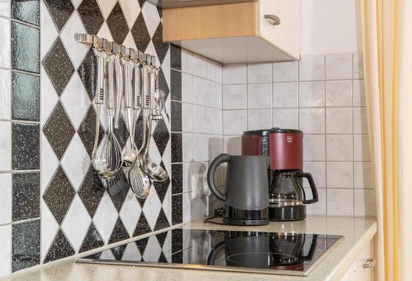 Апартаменты 1 Спальня с Балконом, Zillertal Appartements