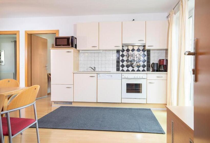 Апартаменты 1 Спальня с Террасой, Zillertal Appartements