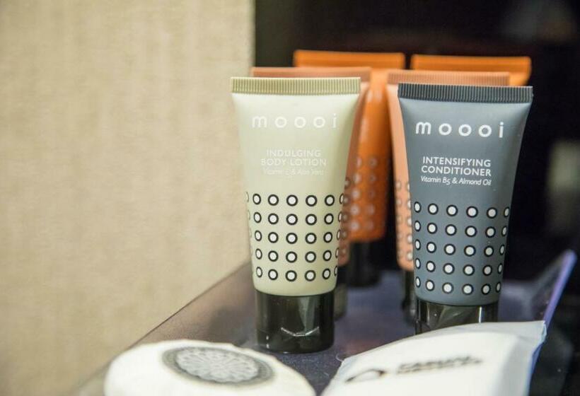 اتاق استاندارد, Casual Belle Epoque Lisboa