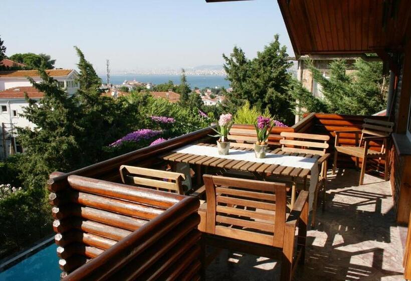 带1个卧室的豪华别墅, Büyükada Apart Hotel   Karadağ Apart