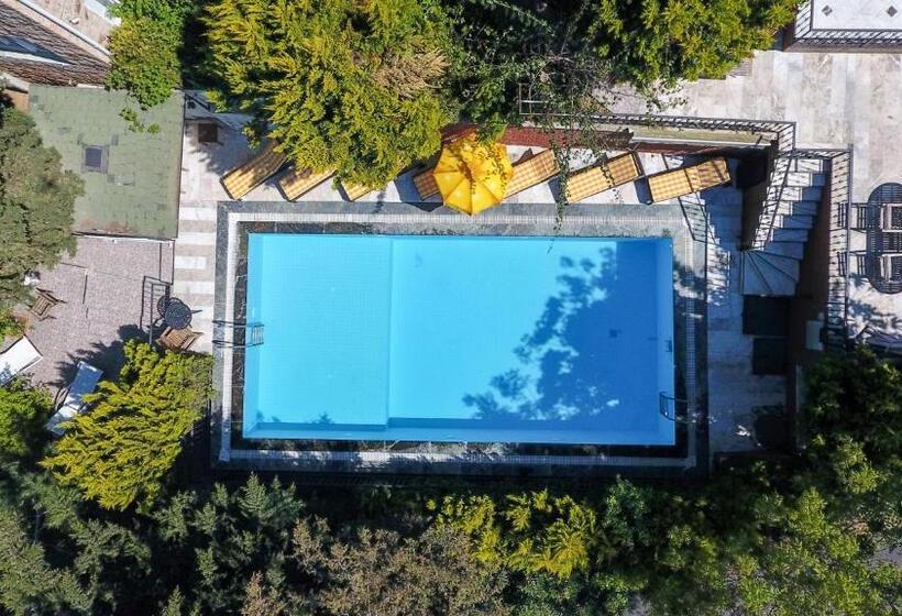 带1个卧室带花园景观的公寓, Büyükada Apart Hotel   Karadağ Apart