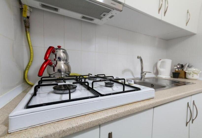 침실 1개 가든 전망 아파트, Büyükada Apart Hotel   Karadağ Apart