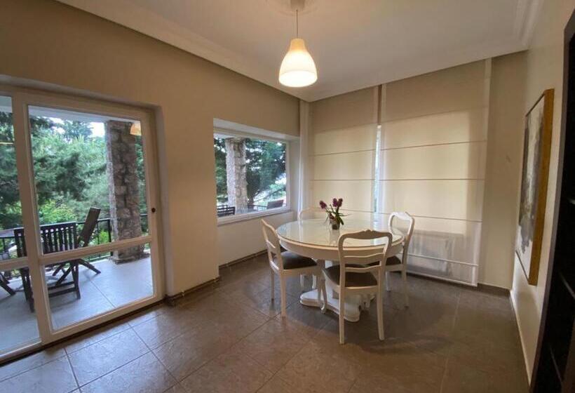 침실 1개 테라스 아파트, Büyükada Apart Hotel   Karadağ Apart