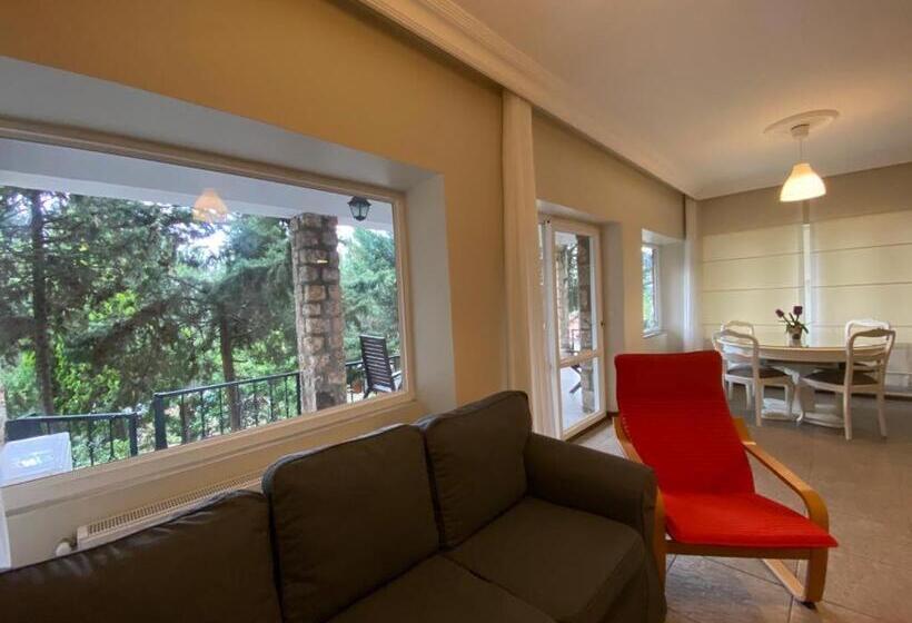 침실 1개 테라스 아파트, Büyükada Apart Hotel   Karadağ Apart