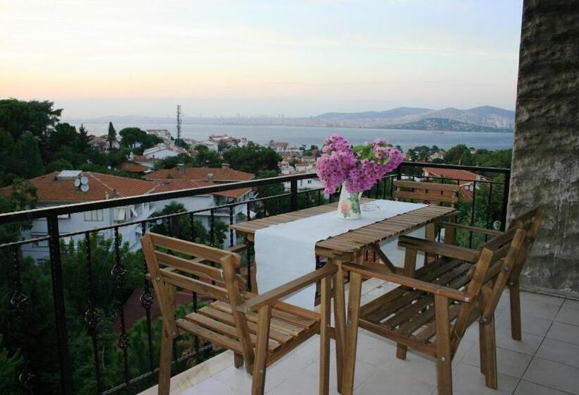 침실 1개 디럭스 아파트, Büyükada Apart Hotel   Karadağ Apart