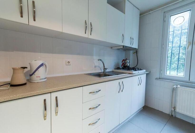 침실 1개 디럭스 아파트, Büyükada Apart Hotel   Karadağ Apart