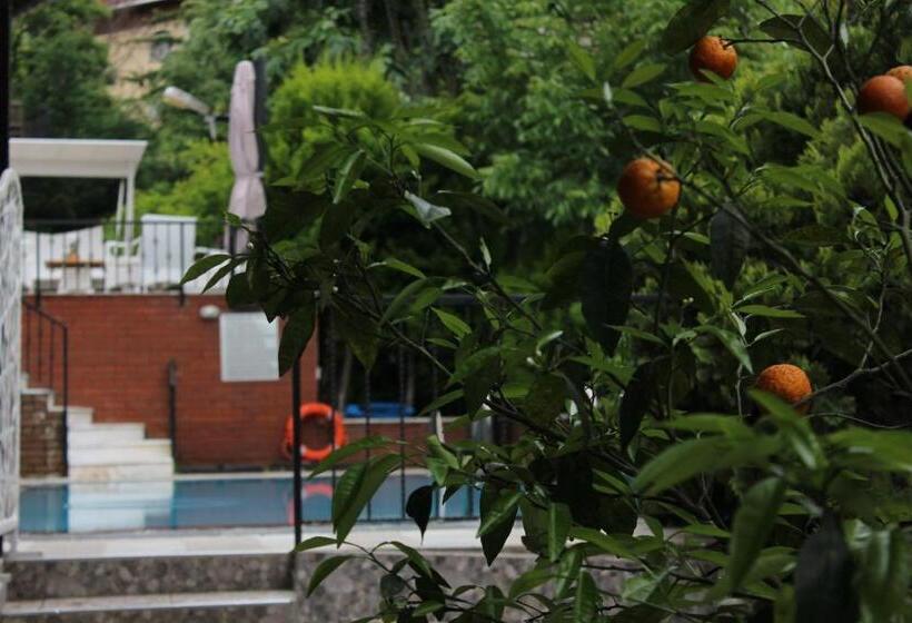 침실 1개 테라스 아파트, Büyükada Apart Hotel   Karadağ Apart