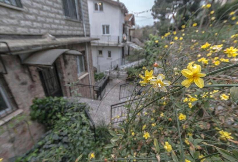 带1个卧室的豪华公寓, Büyükada Apart Hotel   Karadağ Apart
