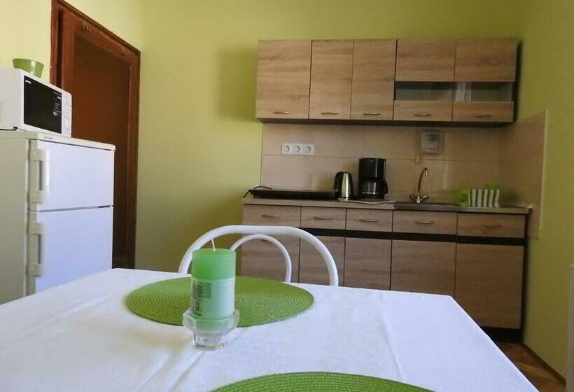 バルコニー付き１ベッドルームアパートメント, Haus Gizella