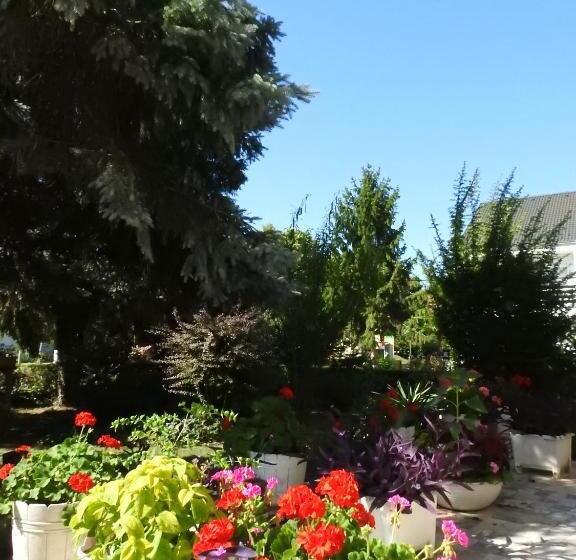 バルコニー付き１ベッドルームアパートメント, Haus Gizella