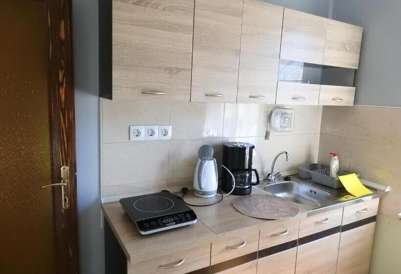 شقة غرفة نوم واحدة مزودة بشُرفة, Haus Gizella