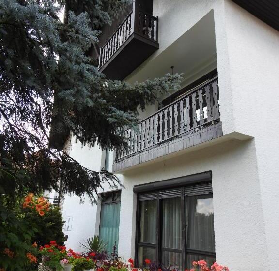 Апартаменты 1 Спальня с Балконом, Haus Gizella