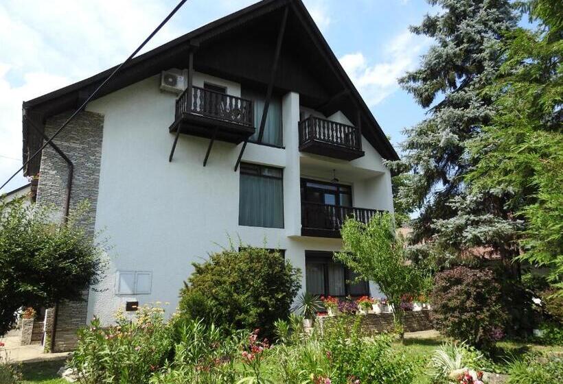 バルコニー付き１ベッドルームアパートメント, Haus Gizella