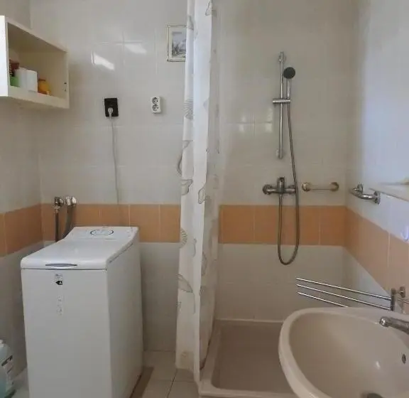 آپارتمان 1 خوابه همکف, Haus Gizella