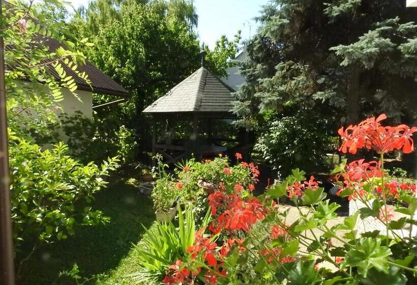 １階の１ベッドルームアパートメント, Haus Gizella