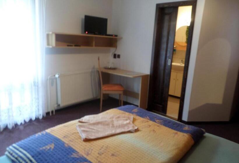 Номер Стандарт Вид на Бассейн, Penzion V Budech