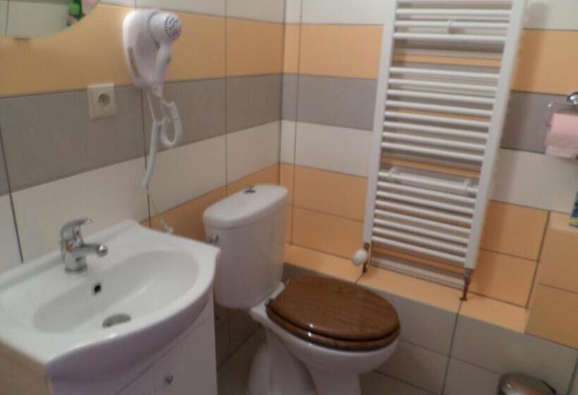 Номер Стандарт Вид на Бассейн, Penzion V Budech