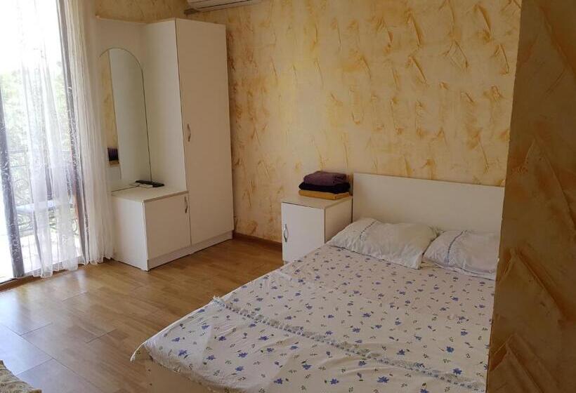 اتاق استاندارد سه تخته با بالکن, Vizitori