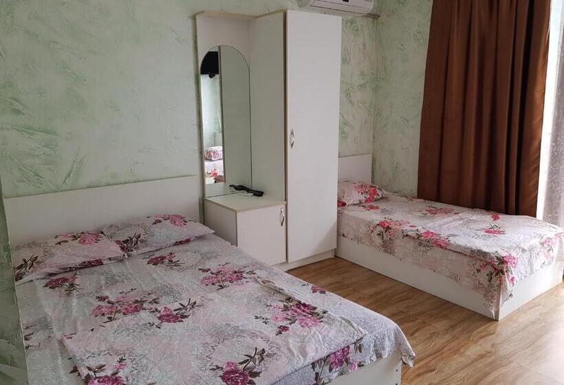 اتاق استاندارد سه تخته با بالکن, Vizitori