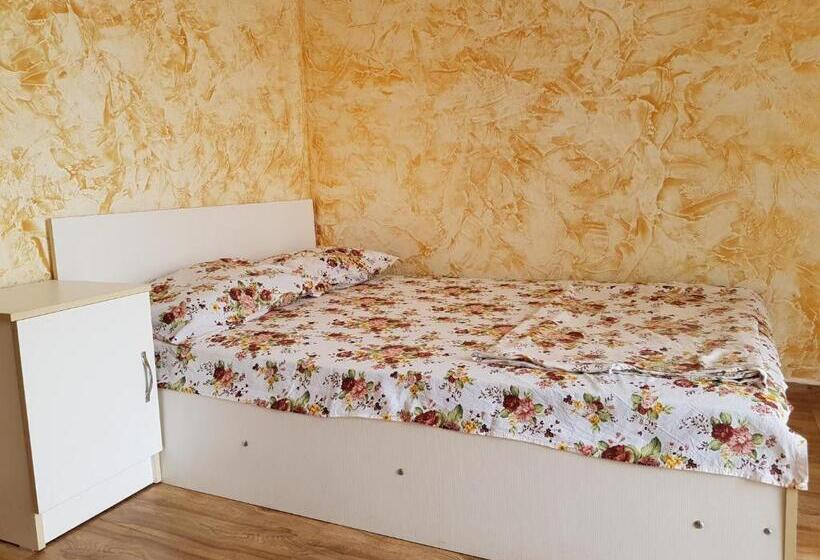 اتاق استاندارد سه تخته با بالکن, Vizitori