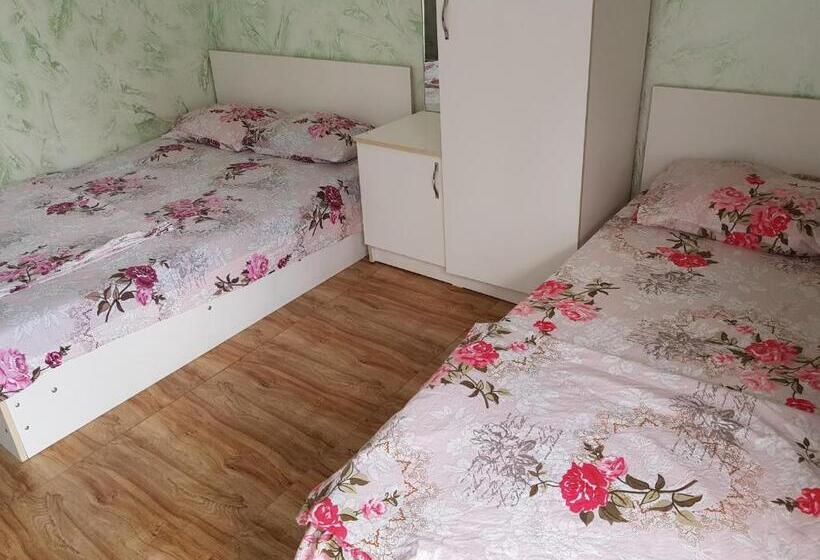 اتاق استاندارد سه تخته با بالکن, Vizitori