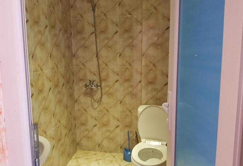 اتاق استاندارد با بالکن, Vizitori