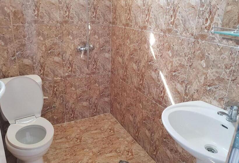 اتاق استاندارد با بالکن, Vizitori