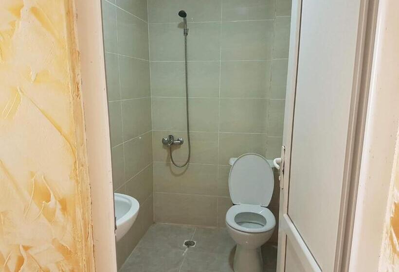 اتاق استاندارد, Vizitori