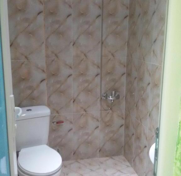 اتاق استاندارد چهارنفره با بالکن, Vizitori