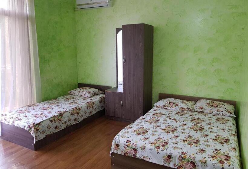 اتاق استاندارد چهارنفره با بالکن, Vizitori