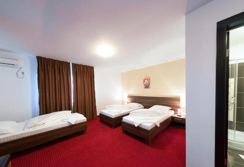 Номер Стандарт Трехместный, Pensiunea Select