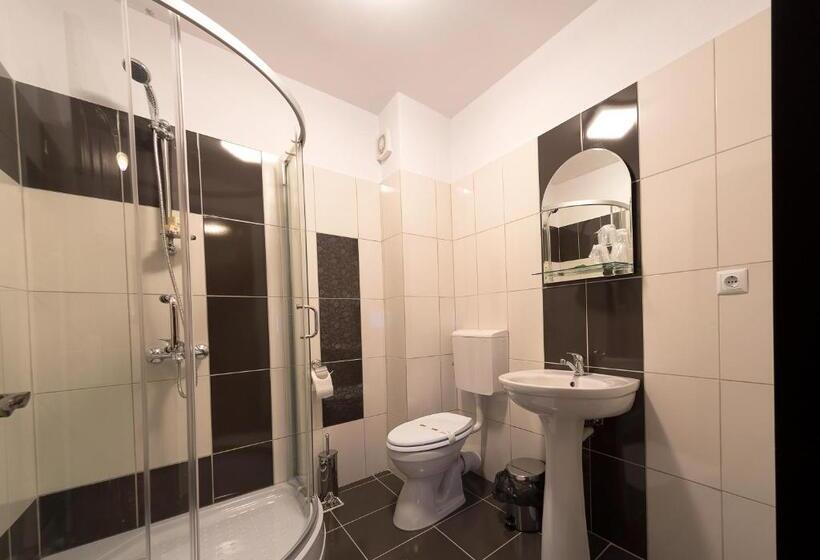 Номер Стандарт Трехместный, Pensiunea Select