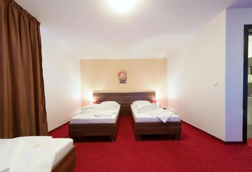 Standard Kolmen Hengen Huone, Pensiunea Select