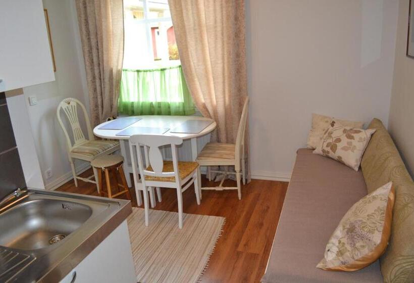 １ベッドルームのデラックスアパートメント, Salpalinjan Hovi