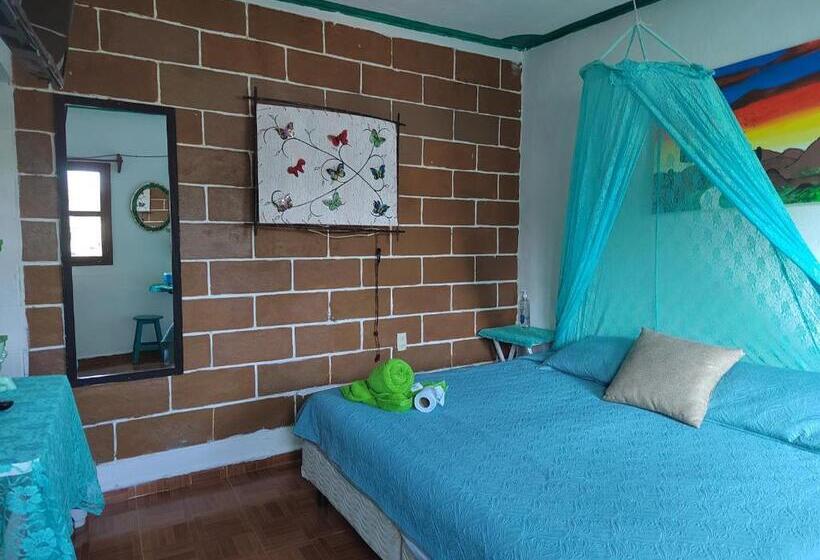 スタンダードルーム, Temazcal Casa Gema