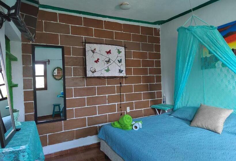 スタンダードルーム, Temazcal Casa Gema