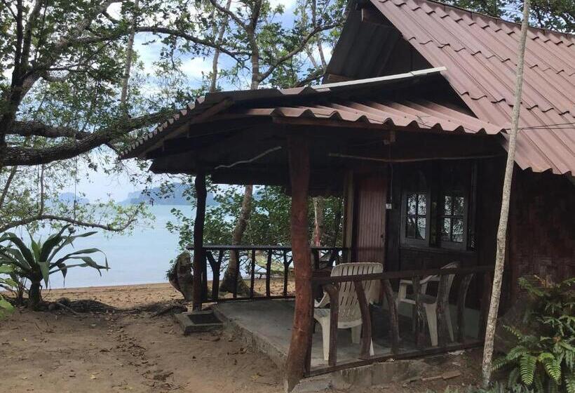 标准平房, Dawn Of Happiness