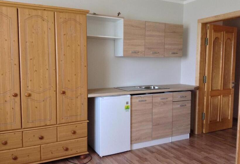 آپارتمان دوبلکس 1 خوابه, Viski Vila