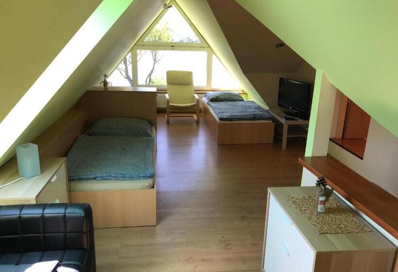 스탠다드 스튜디오 풀장 전망, Beach Pension