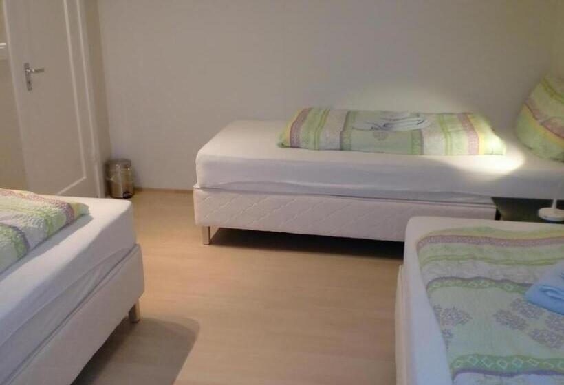 اتاق استاندارد سه تخته با سرویس بهداشتی مشترک, Guesthouse Tilraun